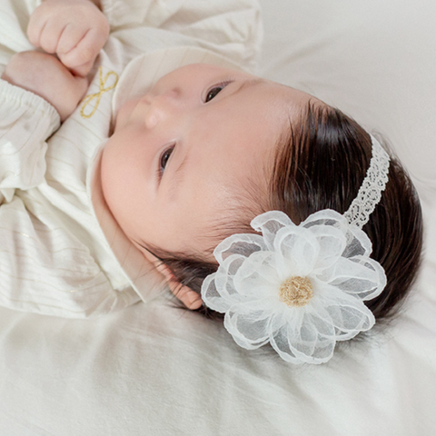 Baby Organza Flower Lace Headband (3-18m)