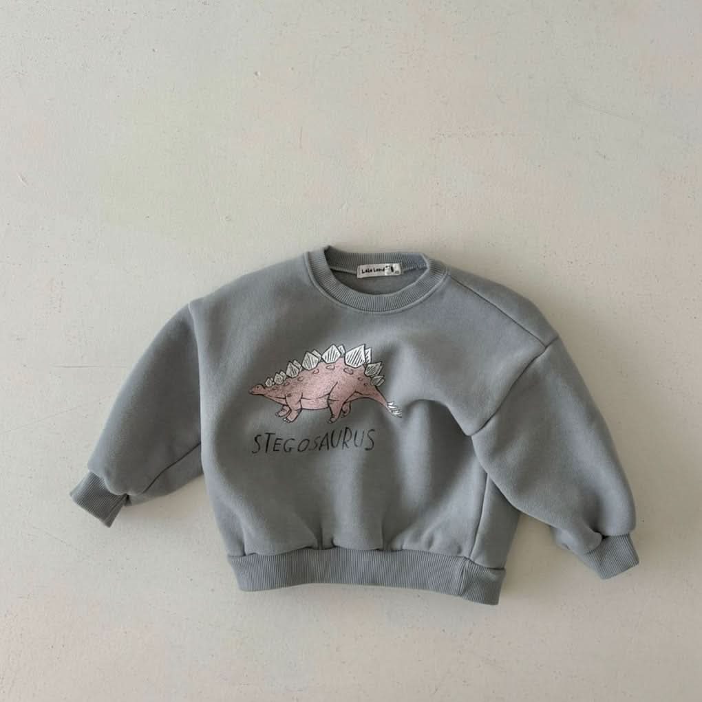 Toddler Land W24 Warm Brushed Fabric Dinosaur Sweatshirt (1-6y) - 3 Colors - AT NOON STORE
