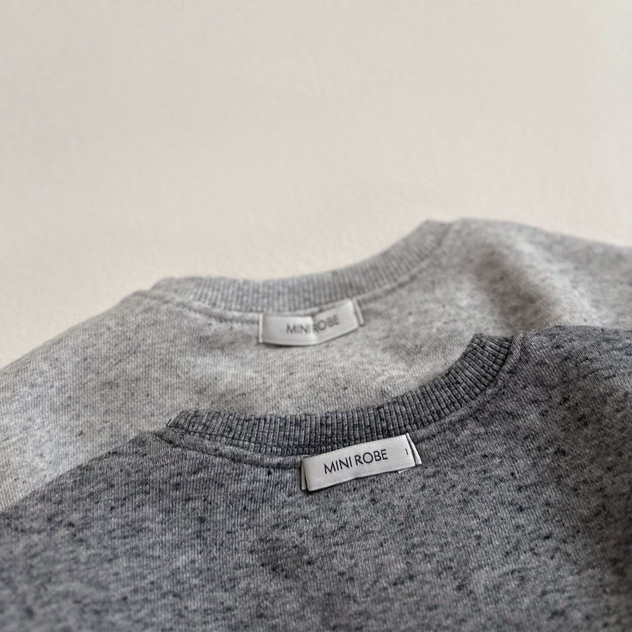 Toddler Crewneck Long Sleeve Sweatshirt (10m-4y) - 2 Colors - AT NOON STORE
