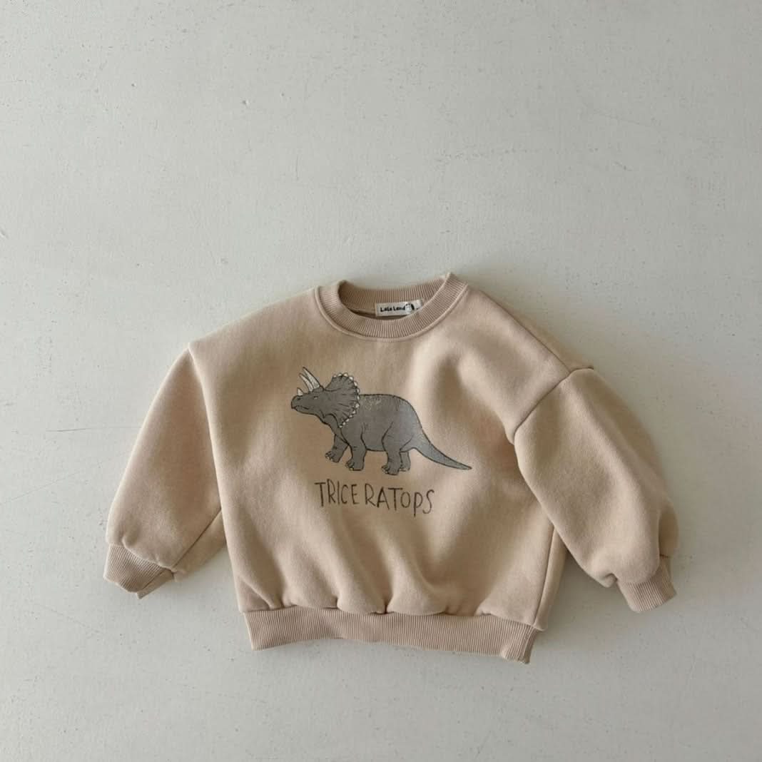 Toddler Land W24 Warm Brushed Fabric Dinosaur Sweatshirt (1-6y) - 3 Colors - AT NOON STORE