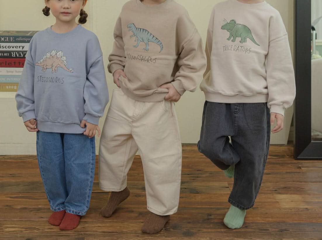 Toddler Land F24 Dinosaur Sweatshirt (1-6y) - 3 Colors - AT NOON STORE
