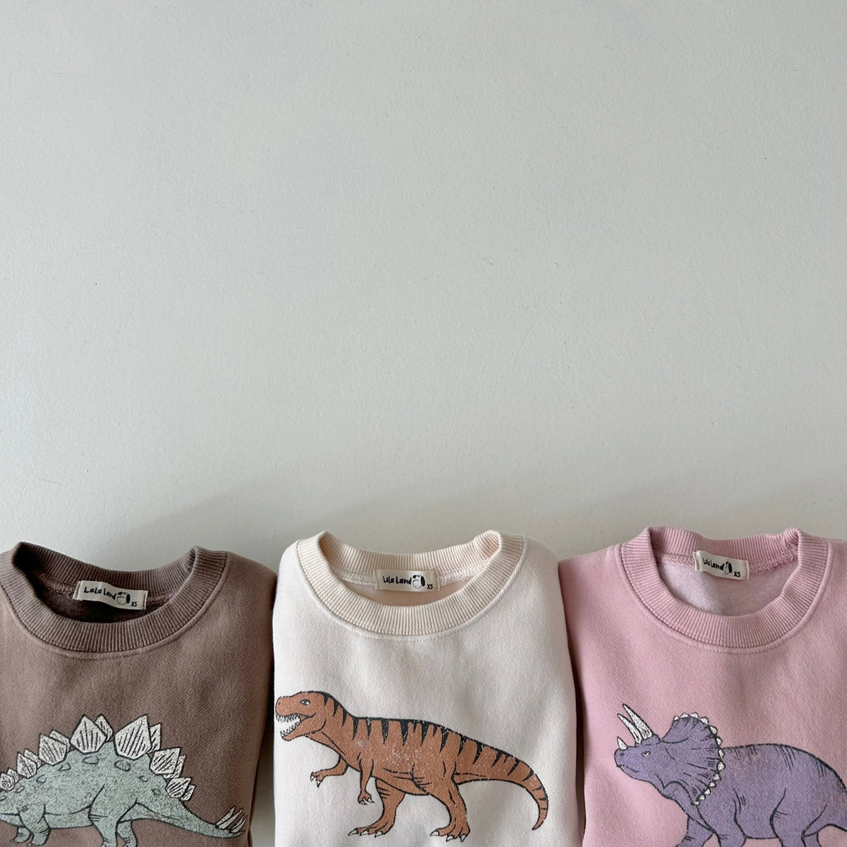 AT Stegosaurus STORE Land NOON Brushed | Dino Kids (1-6y) Sweatshirt -Brown Cotton