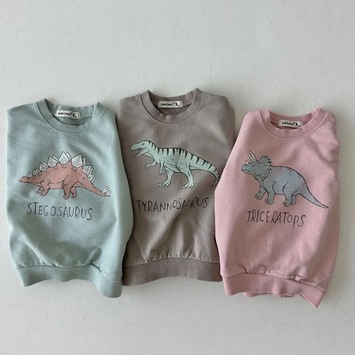 Kids cheap dinosaur sweatshirt