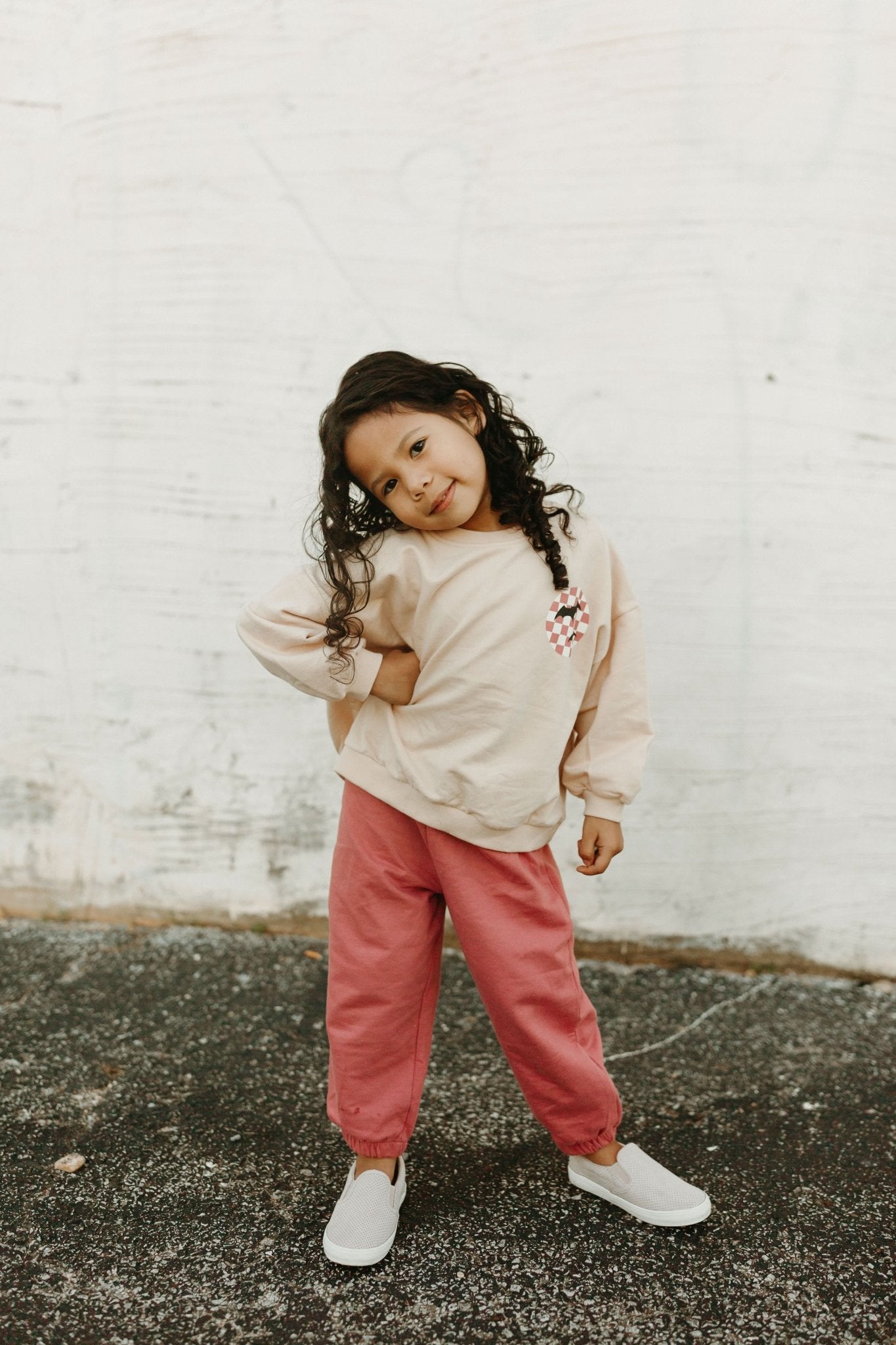 Toddler Bat Graphic Print Sweatshirt & Jogger Pants Set (6m - 6y) - Berry kids outfit
