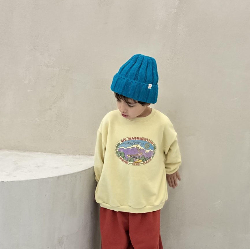 Toddler W24 Alpaca Beanie (2-15y) - 5 Colors