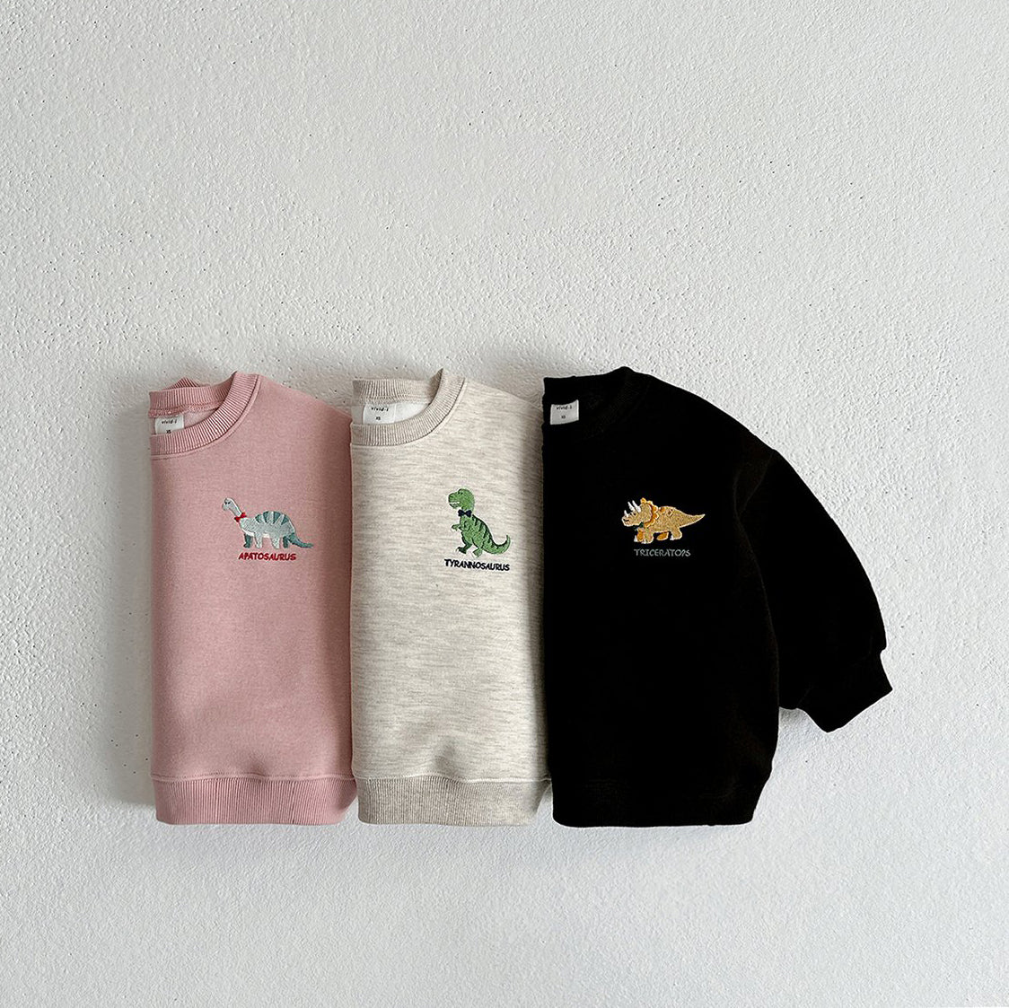 Toddler W24 Dinosaur Embroidery Sweatshirt (1-7y) - 3 Colors