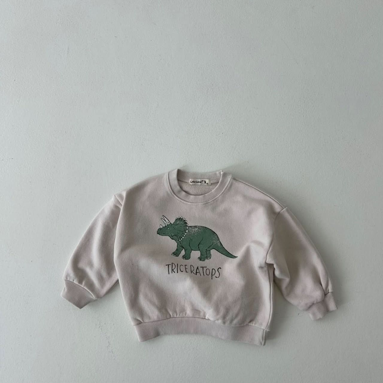 Toddler Land F24 Dinosaur Sweatshirt 1 6y 3 Colors AT NOON STORE