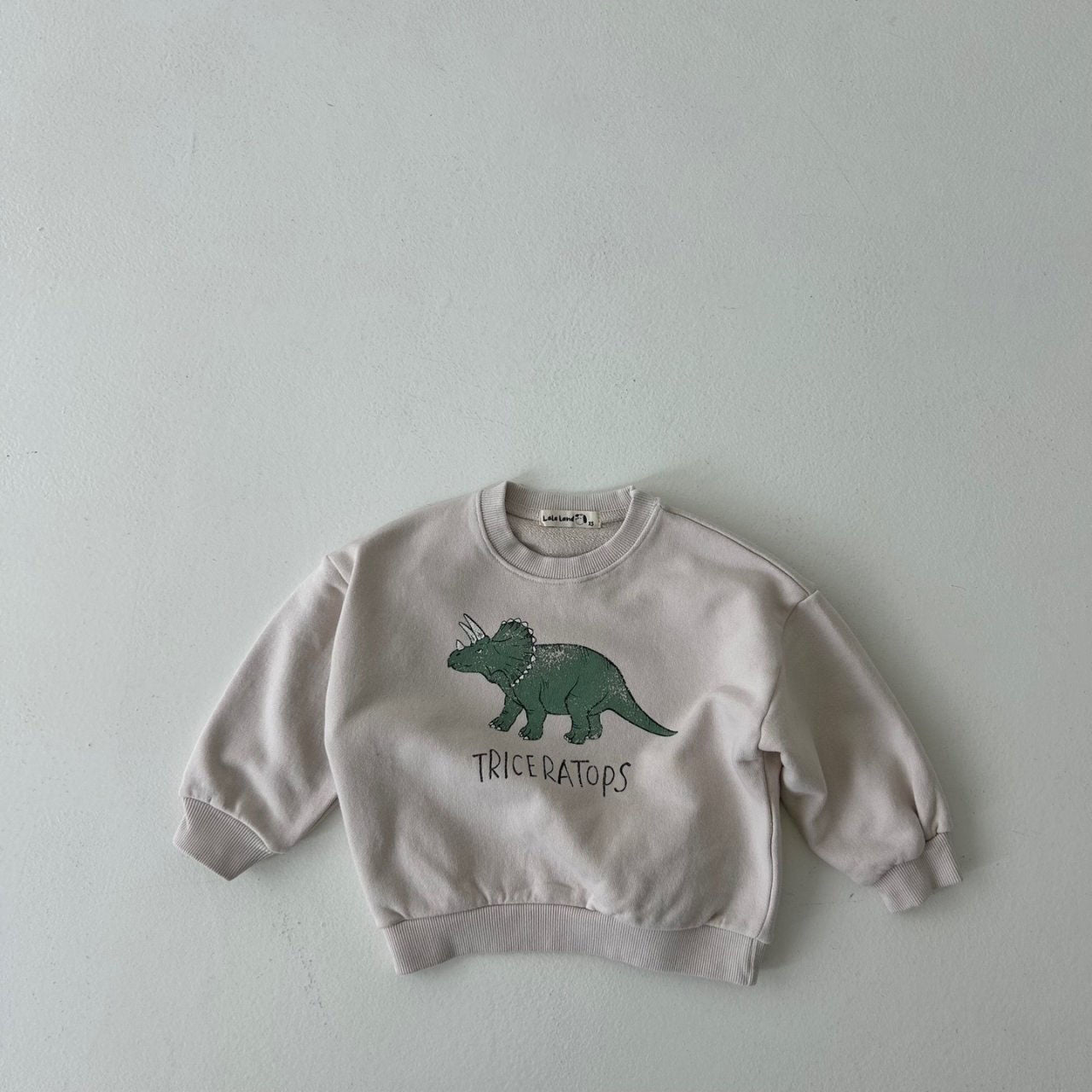 Toddler Land F24 Dinosaur Sweatshirt (1-6y) - 3 Colors - AT NOON STORE