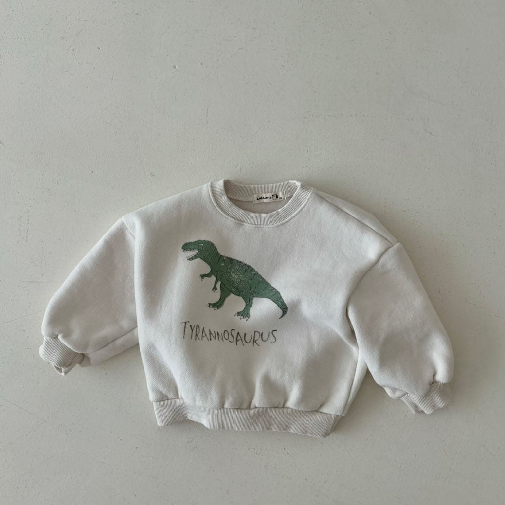 Toddler Land W24 Warm Brushed Fabric Dinosaur Sweatshirt (1-6y) - 3 Colors