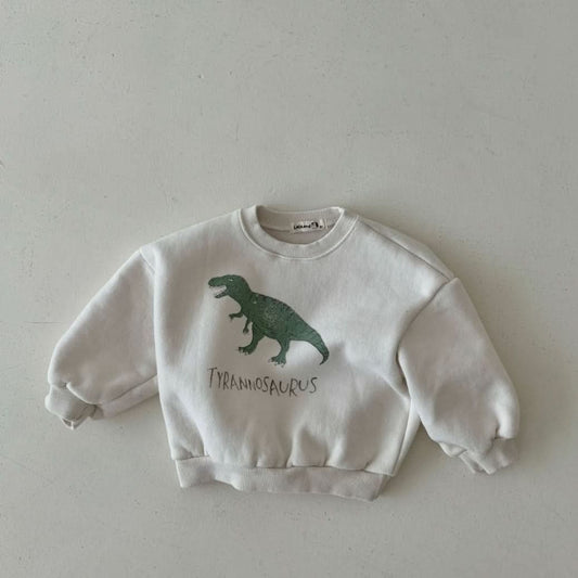 Toddler Land W24 Warm Brushed Fabric Dinosaur Sweatshirt (1-6y) - 3 Colors - AT NOON STORE