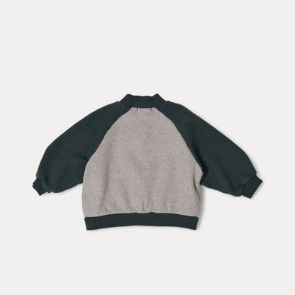 Toddler W25 Raglan Long Sleeve Zip-Up Jacket (2-8y) - 2 Colors