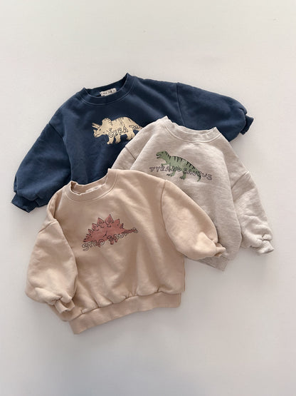 Toddler Land W25 Brushed Cotton Dinosaurs Long Sleeve Sweatshirt (1-6y) - 3 Colors