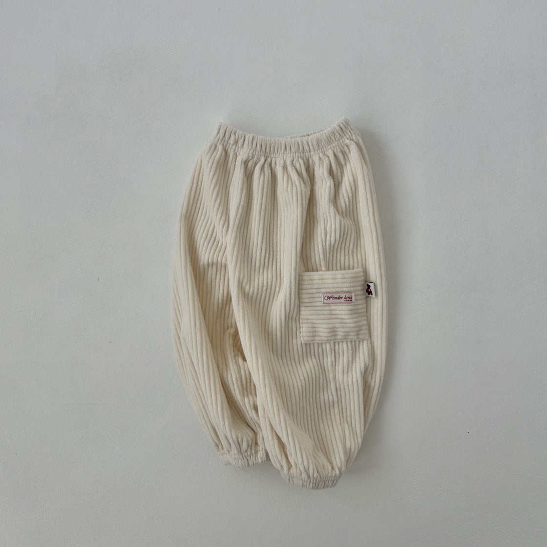 Toddler Land W25 Corduroy Cargo Jogger Pants (1-6y) - 3 Colors