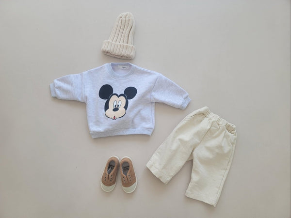 Toddler Disney Brushed Cotton Sweatshirt (1-5y) -4 Colors