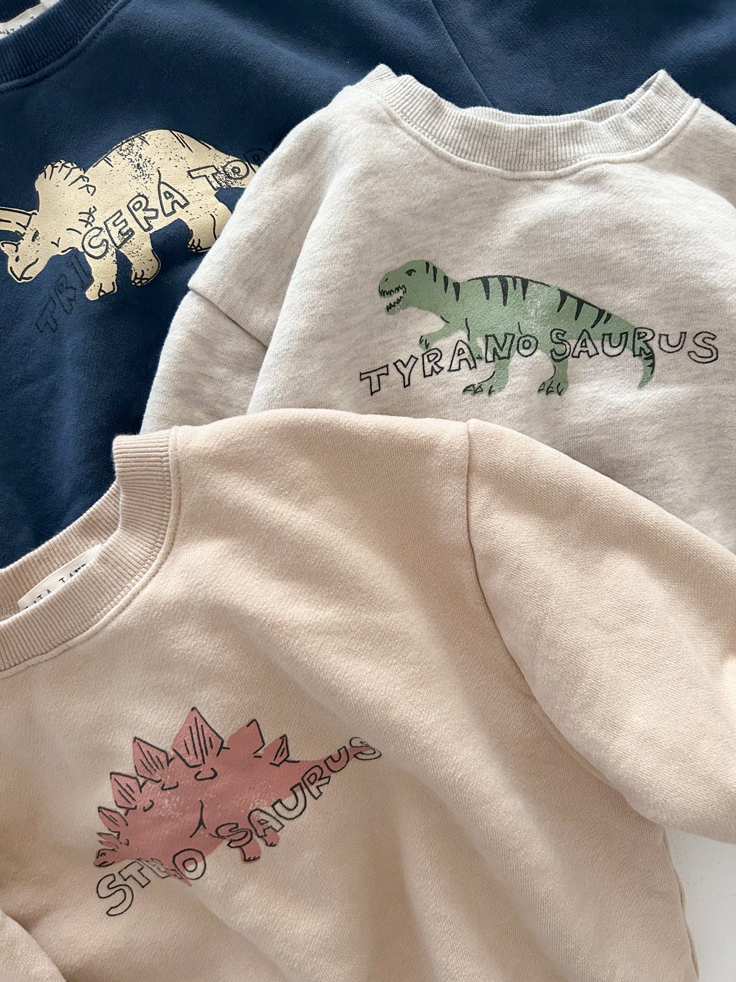 Toddler Land W25 Brushed Cotton Dinosaurs Long Sleeve Sweatshirt (1-6y) - 3 Colors