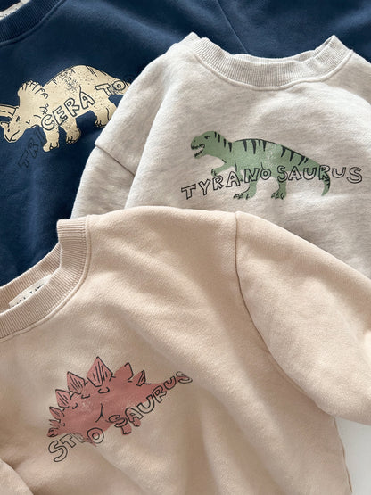 Toddler Land W25 Brushed Cotton Dinosaurs Long Sleeve Sweatshirt (1-6y) - 3 Colors