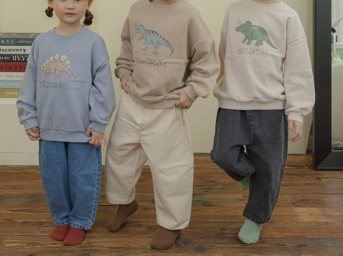 Toddler Land F24 Dinosaur Sweatshirt (1-6y) - 3 Colors - AT NOON STORE