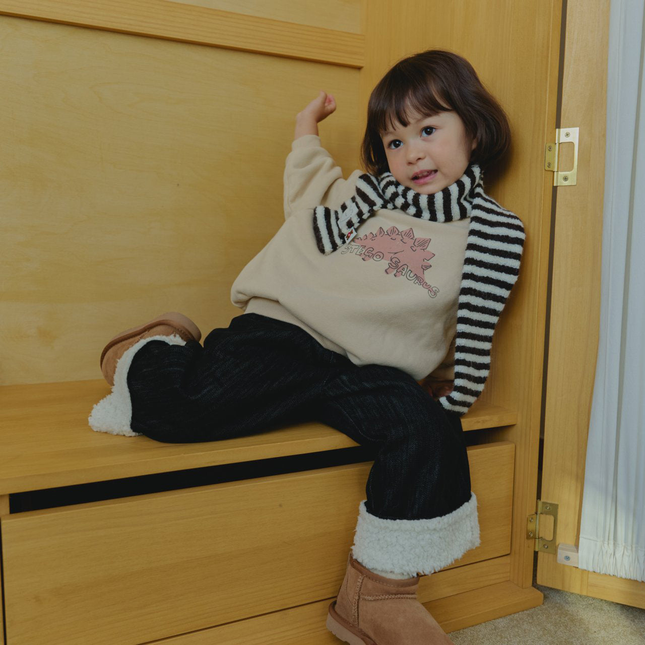 Toddler Land W25 Brushed Cotton Dinosaurs Long Sleeve Sweatshirt (1-6y) - 3 Colors