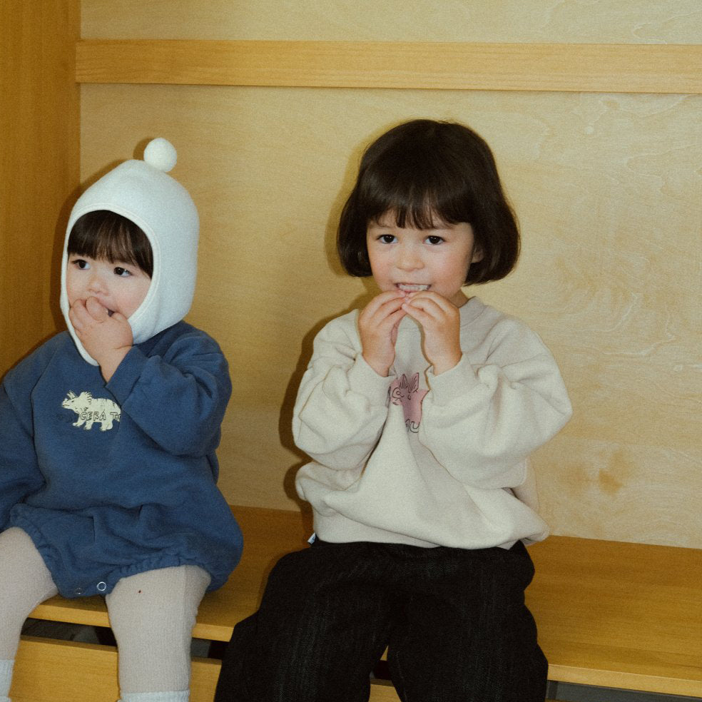 Toddler Land W25 Brushed Cotton Dinosaurs Long Sleeve Sweatshirt (1-6y) - 3 Colors