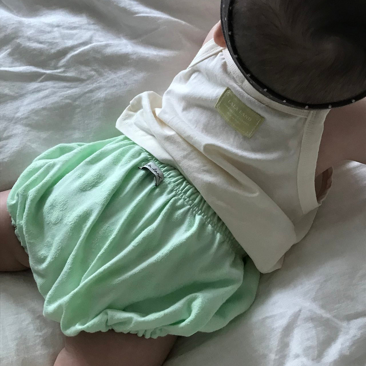 Baby Land SS26 Floral Jacquard Terry Bloomer  (4m-18m) - Light Green