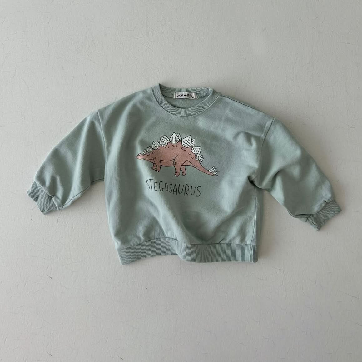 Cute discount dinosaur sweatshirt