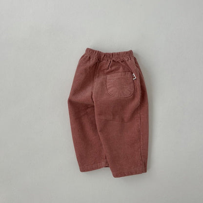 Baby Toddler Land W25 Warm Corduroy Pull - on Pants (4m - 6y) - 4 Colors kids outfit