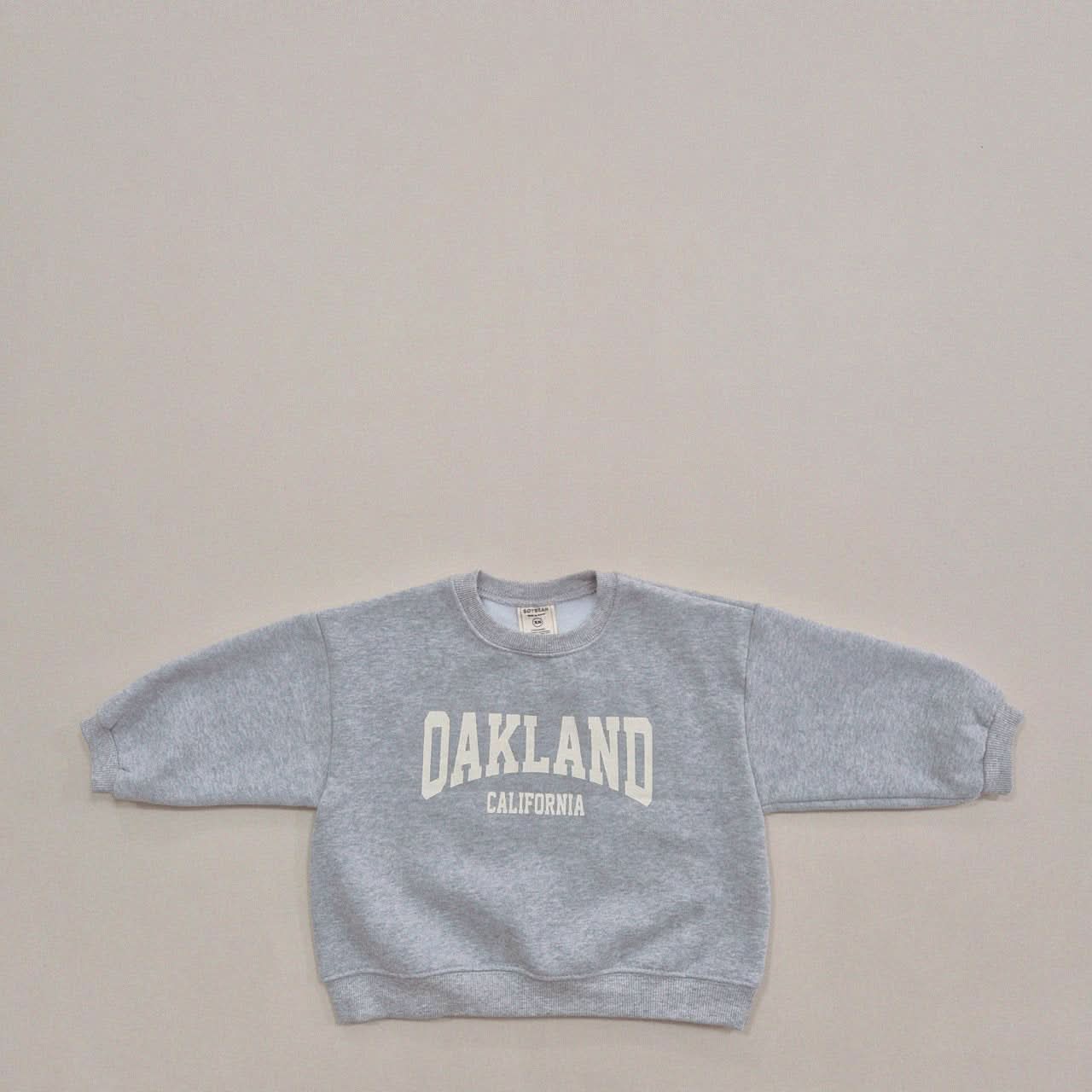 Kids Soy W24 Warm Brushed Fabric 'OAKLAND' Sweatshirt (1 - 6y) - 2 Colors kids outfit