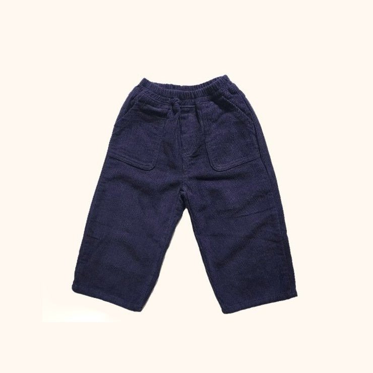 Kids W25 Corduroy Pull - on Pants(3 - 8y) - Purple Navy kids outfit