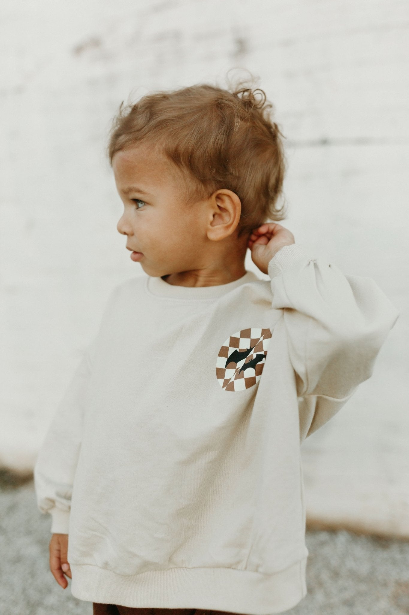 Toddler Bat Graphic Print Sweatshirt & Jogger Pants Set (6m - 6y) - Brown kids outfit