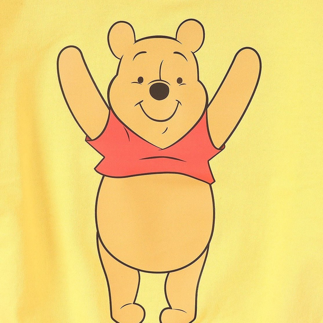 Toddler Disney Pooh Friends Sweatshirt and Shorts Set (2 - 9y) - 4 Colors kids outfit