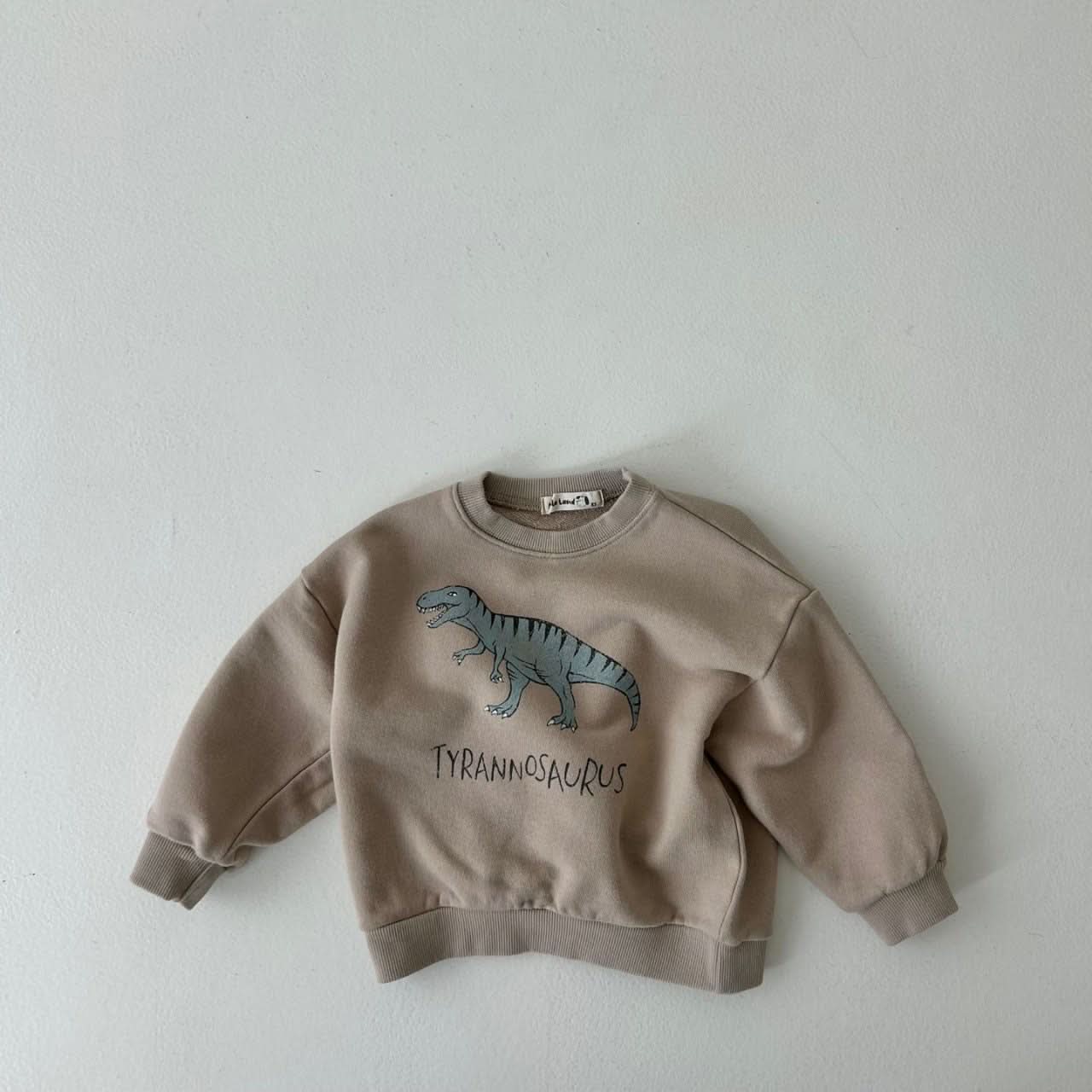 Toddler Land Dinosaur Sweatshirt (1 - 6y) - 3 Colors kids outfit