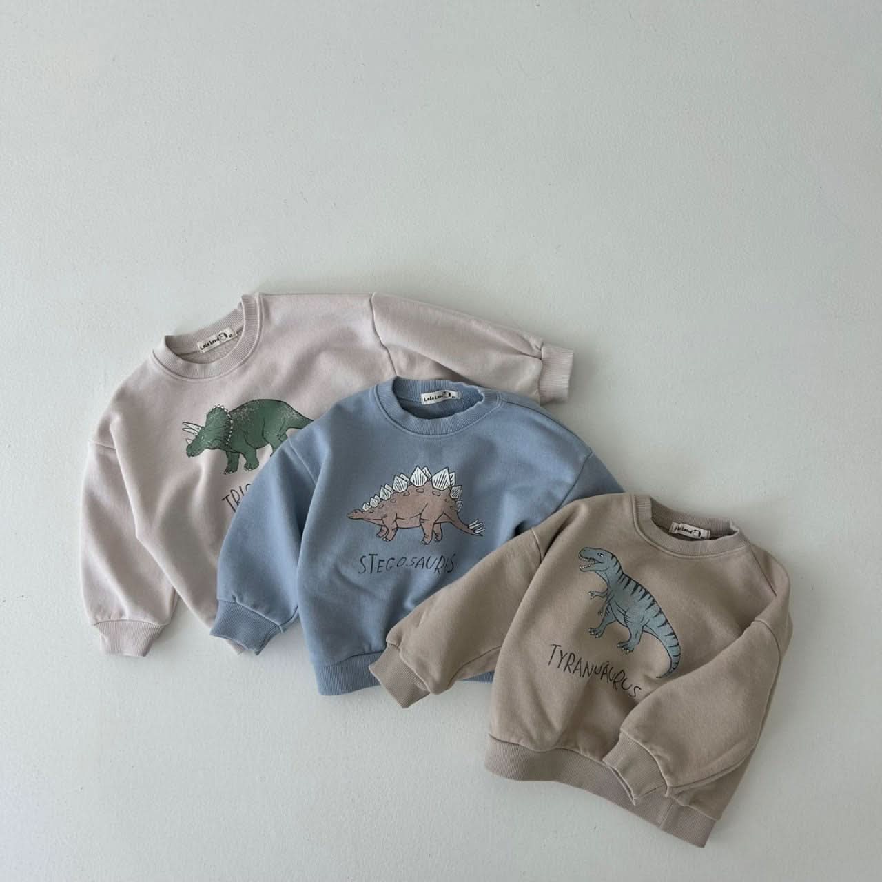 Toddler Land Dinosaur Sweatshirt (1 - 6y) - 3 Colors kids outfit