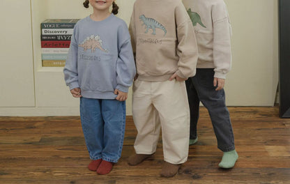 Toddler Land Dinosaur Sweatshirt (1 - 6y) - 3 Colors kids outfit
