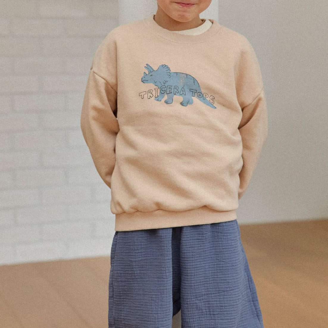 Toddler Land S25 Dinosaur Sweatshirt (1 - 6y) - 3 Colors kids outfit