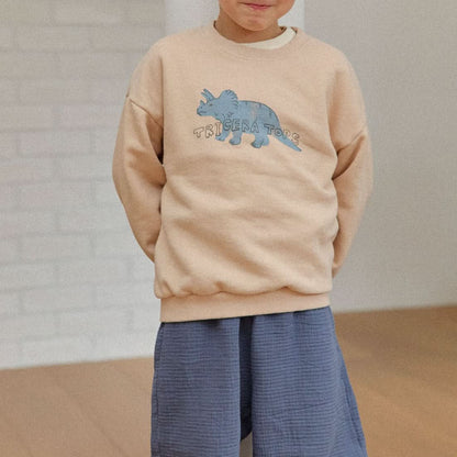 Toddler Land S25 Dinosaur Sweatshirt (1 - 6y) - 3 Colors kids outfit