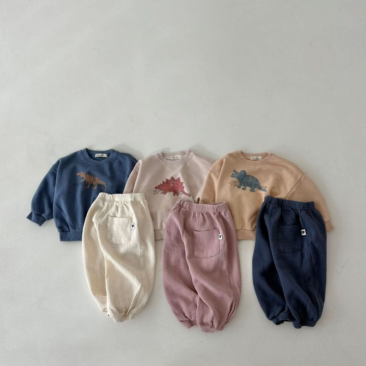 Toddler Land S25 Dinosaur Sweatshirt (1 - 6y) - 3 Colors kids outfit