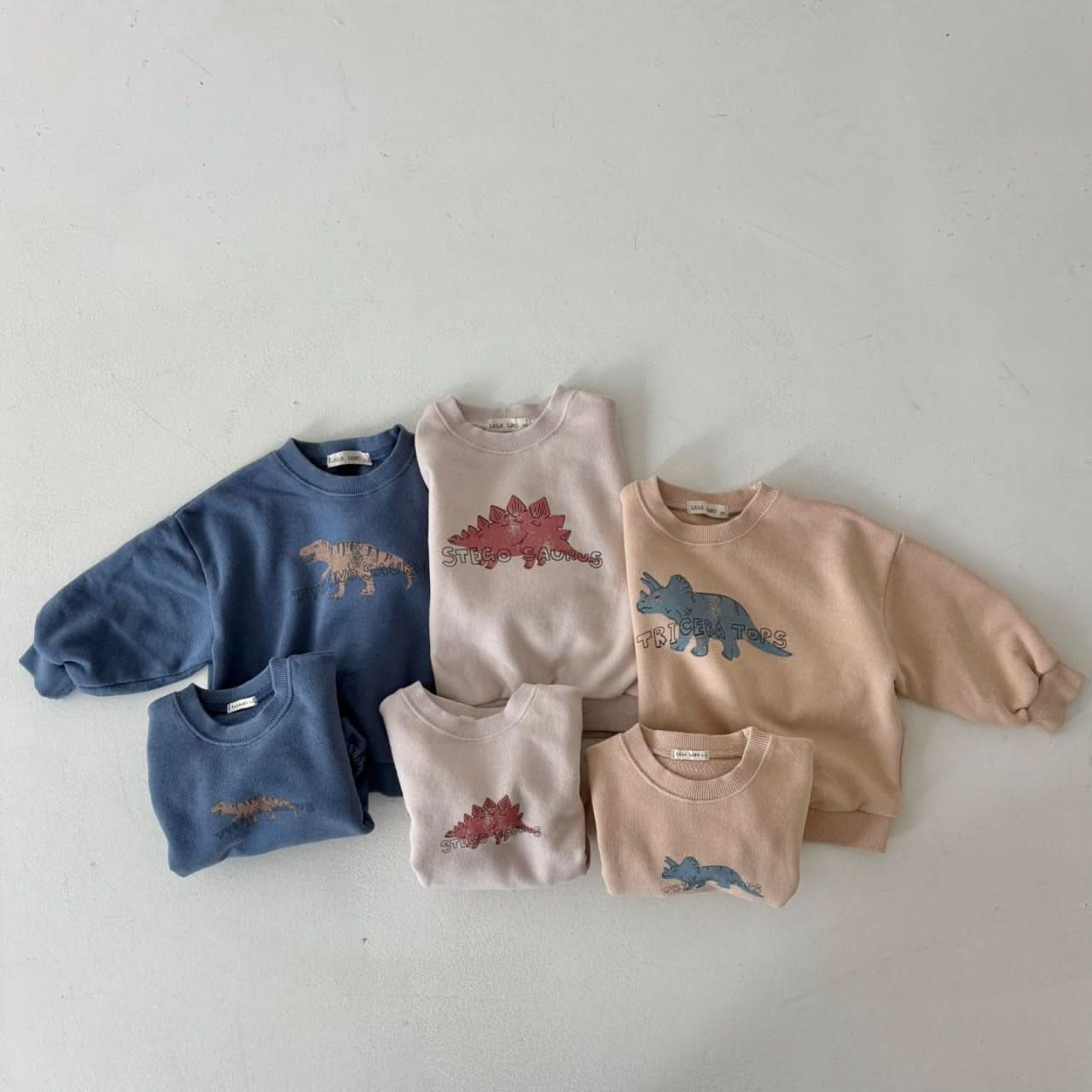 Toddler Land S25 Dinosaur Sweatshirt (1 - 6y) - 3 Colors kids outfit