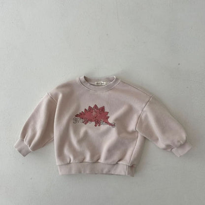 Toddler Land S25 Dinosaur Sweatshirt (1 - 6y) - 3 Colors kids outfit