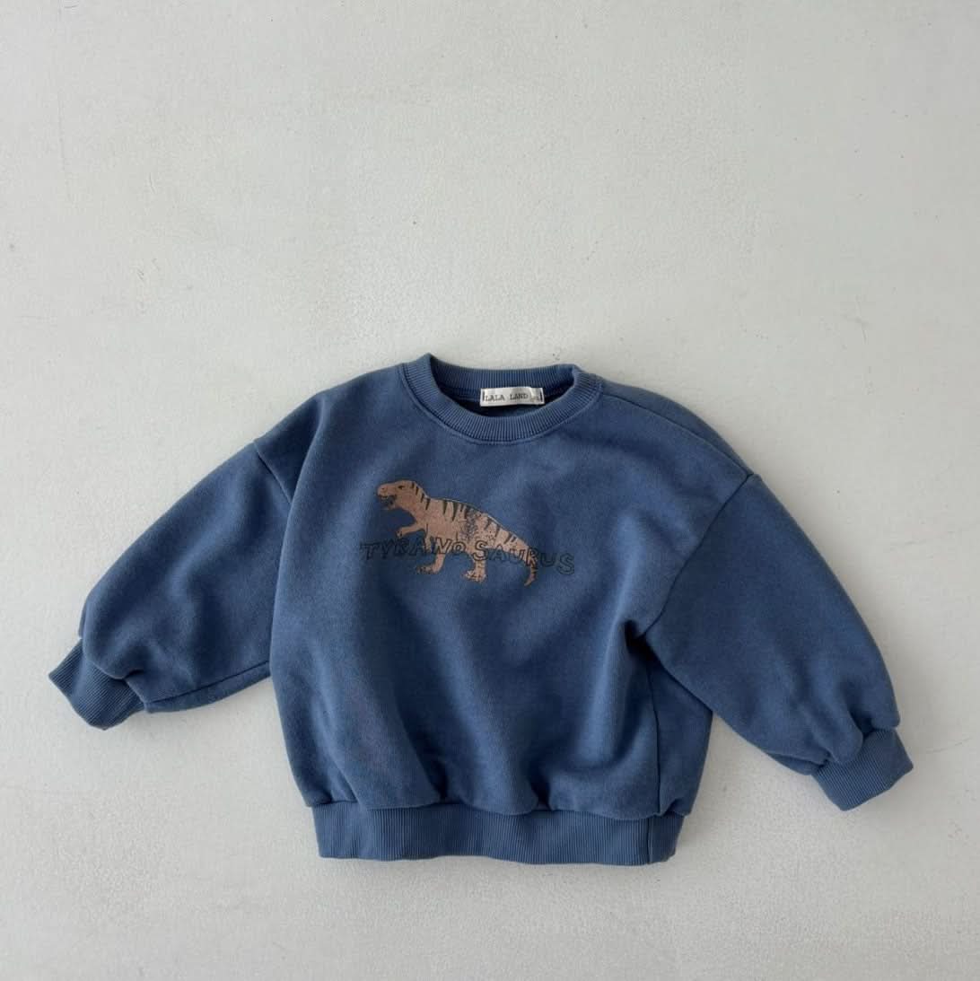 Toddler Land S25 Dinosaur Sweatshirt (1 - 6y) - 3 Colors kids outfit