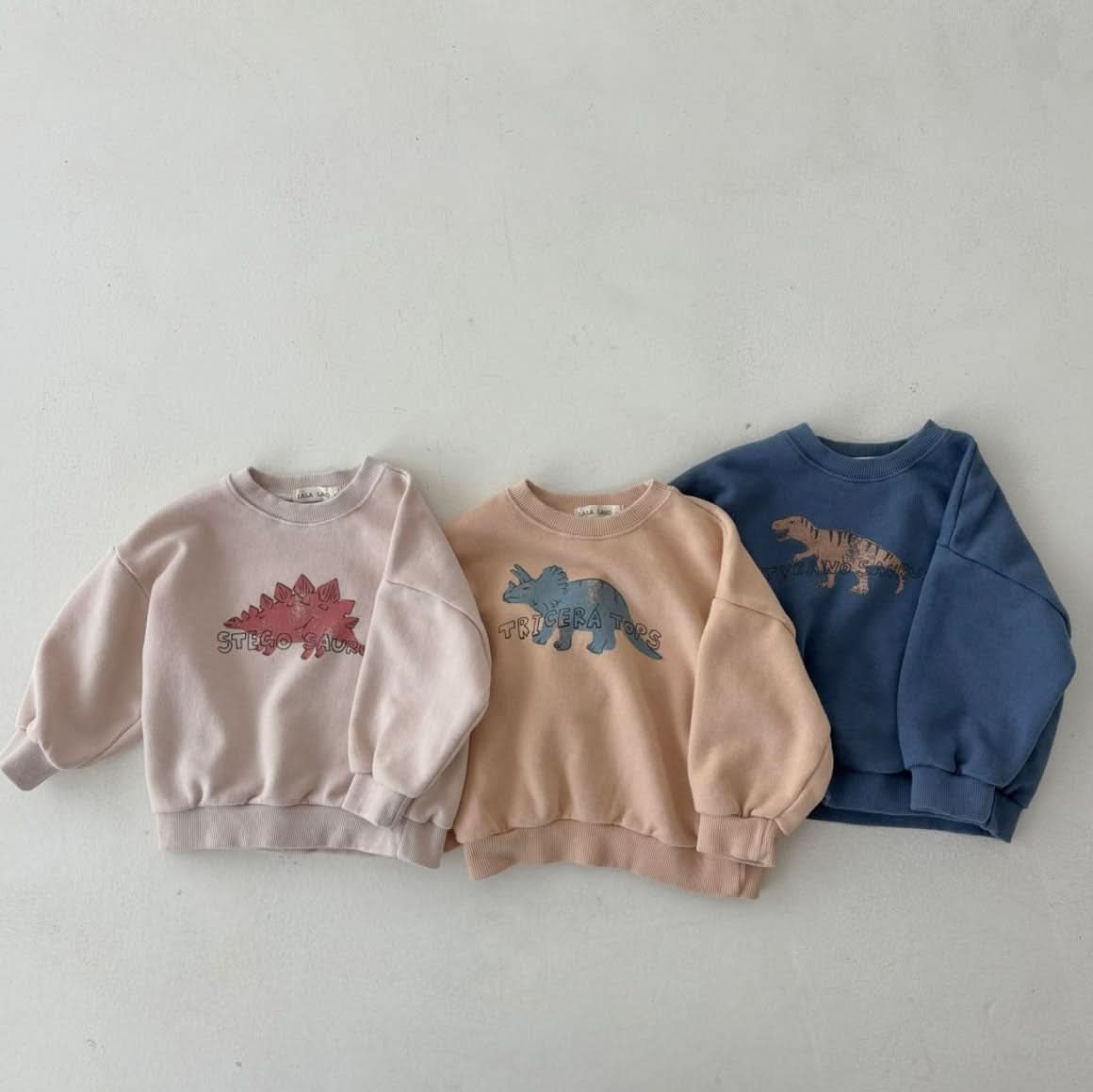 Toddler Land S25 Dinosaur Sweatshirt (1 - 6y) - 3 Colors kids outfit