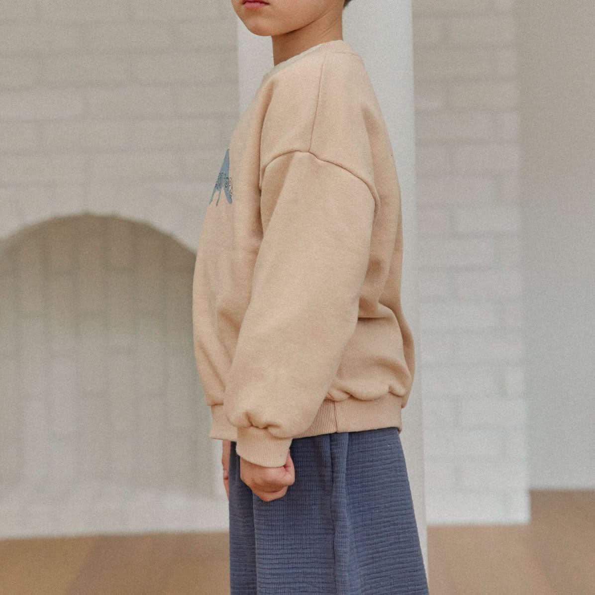 Toddler Land S25 Dinosaur Sweatshirt (1 - 6y) - 3 Colors kids outfit