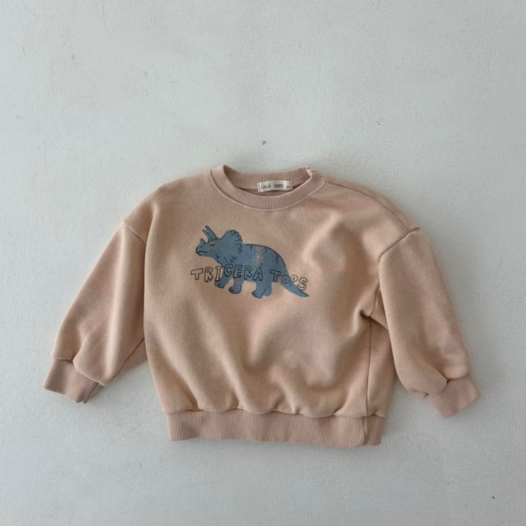 Toddler Land S25 Dinosaur Sweatshirt (1 - 6y) - 3 Colors kids outfit