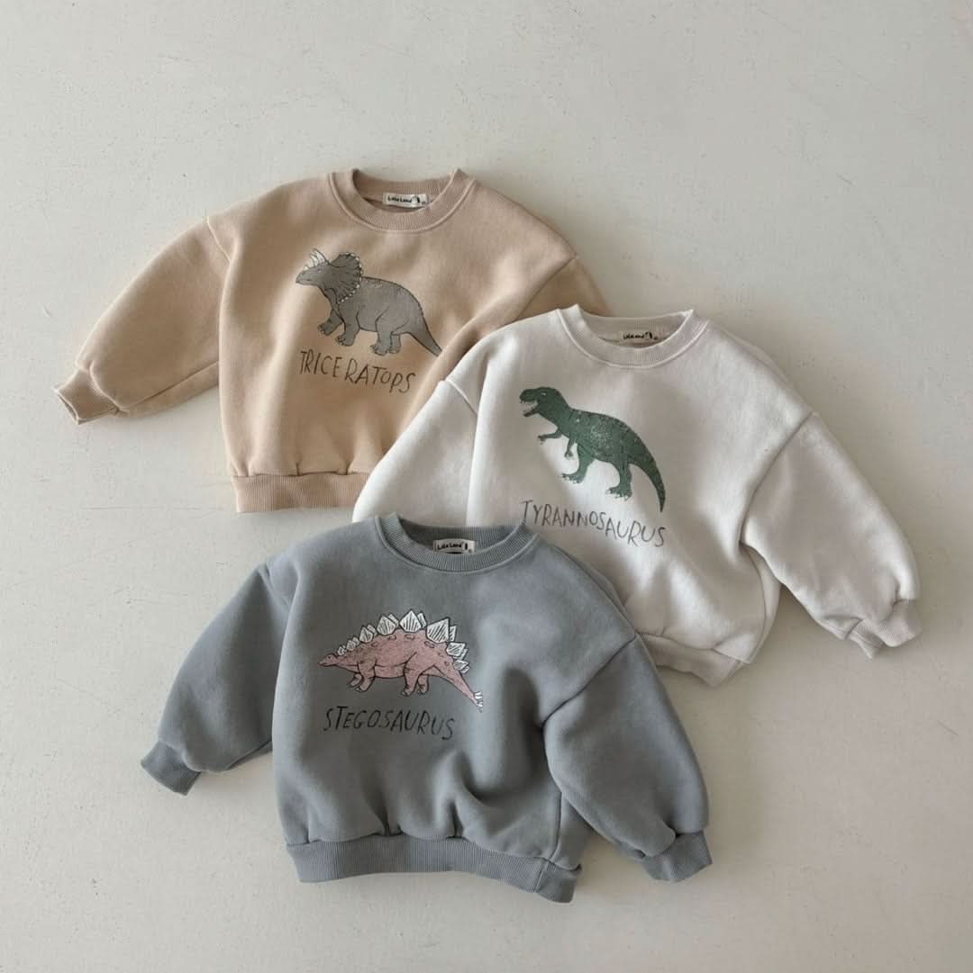 Toddler Land W24 Warm Brushed Fabric Dinosaur Sweatshirt (1 - 6y) - 3 Colors kids outfit