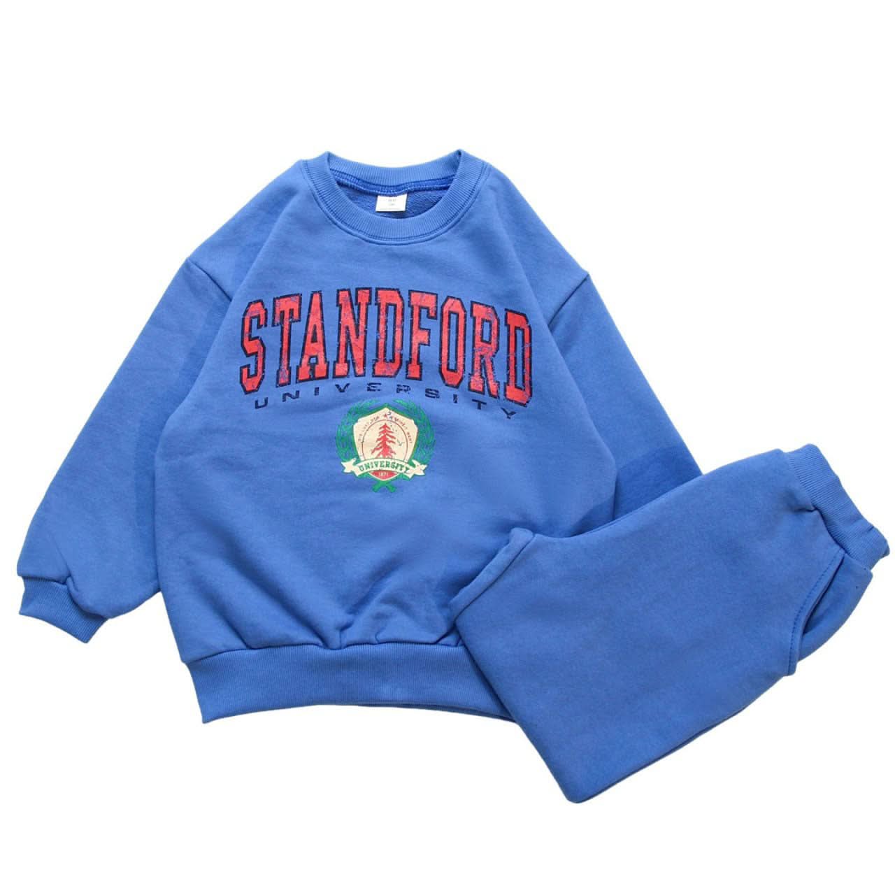Toddler 'STANDFORD' Sweatshirt and Jogger Pants Set (3 - 8y) - 2 Colors kids outfit