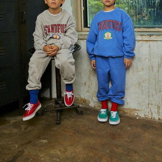 Toddler 'STANDFORD' Sweatshirt and Jogger Pants Set (3 - 8y) - 2 Colors kids outfit