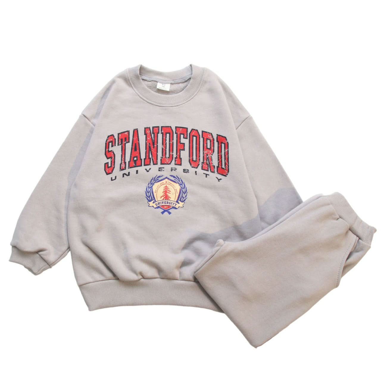 Toddler 'STANDFORD' Sweatshirt and Jogger Pants Set (3 - 8y) - 2 Colors kids outfit